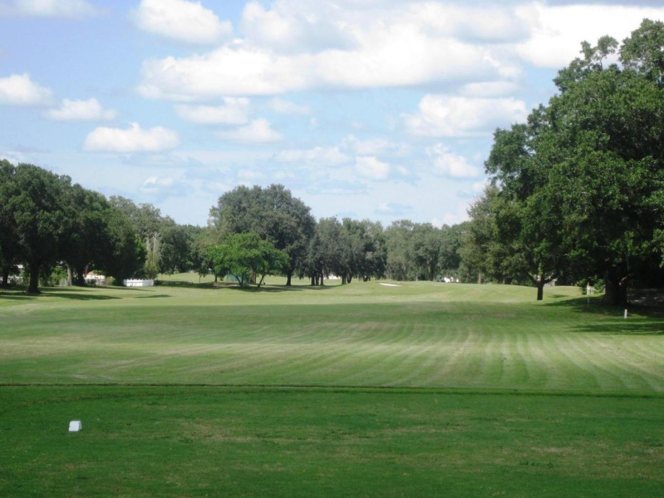 House Near Tampa Zoo And Busch Gardens, Free High Speed Wifi Villa Bagian luar foto